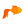goldfish